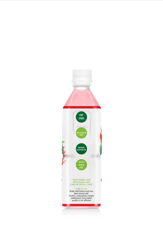 Don Luis Watermelon 100% Juice 500ml/12 units